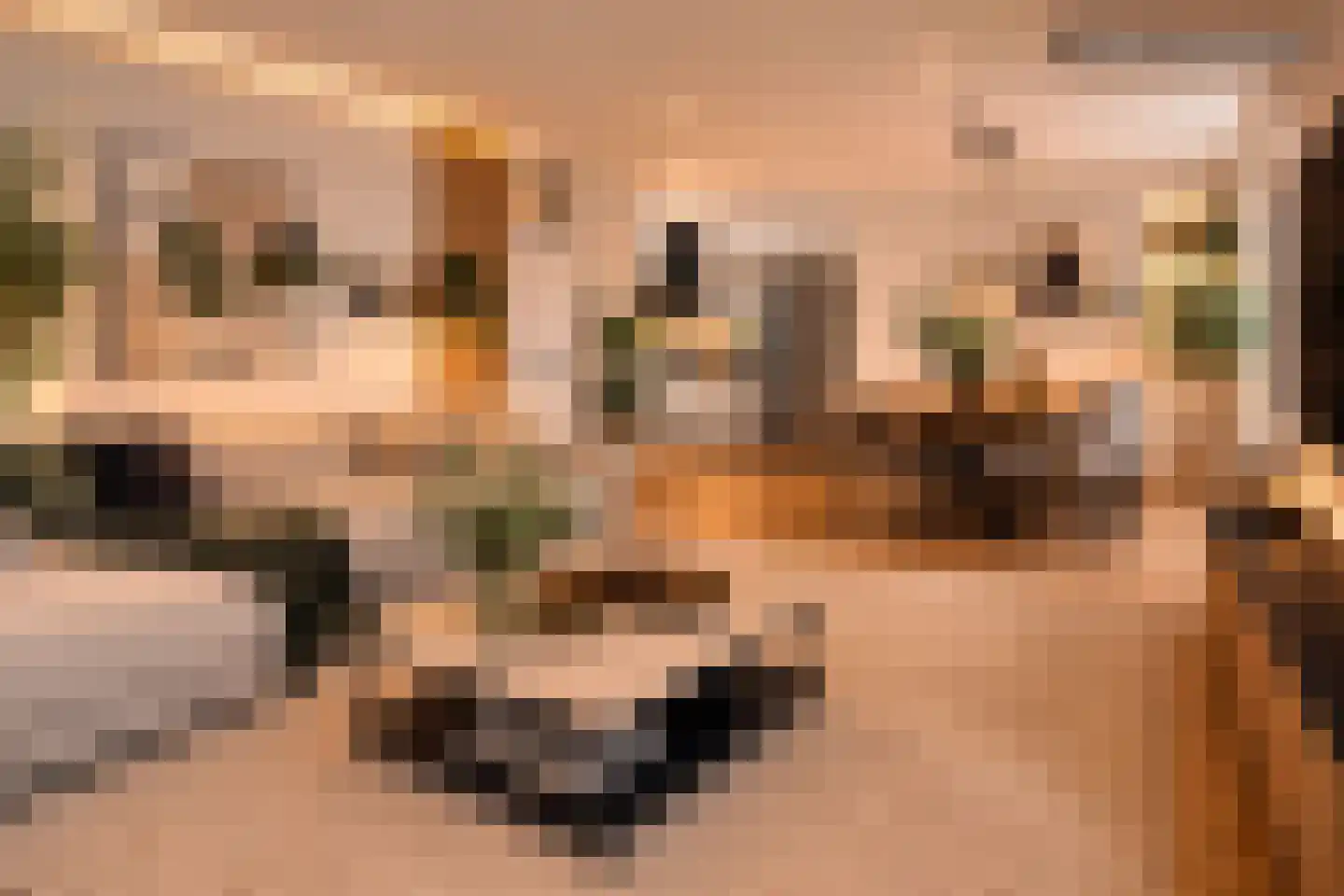 Asterdkraag 88 Breda thumbnail 20
