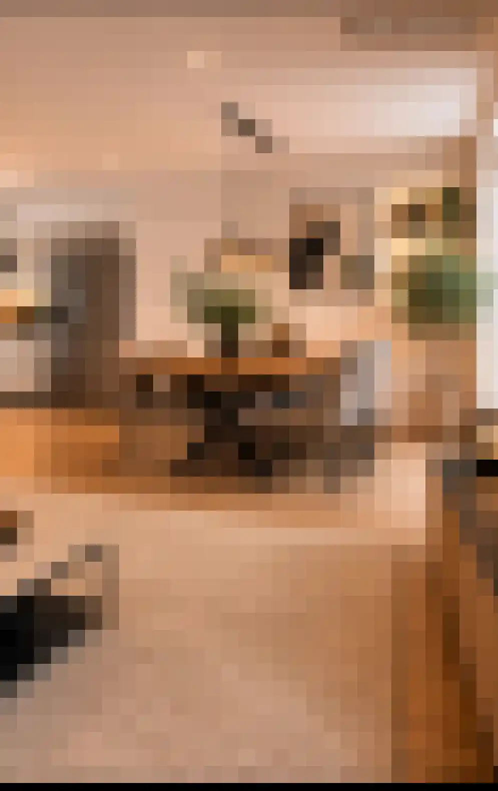 Asterdkraag 88 Breda thumbnail 25