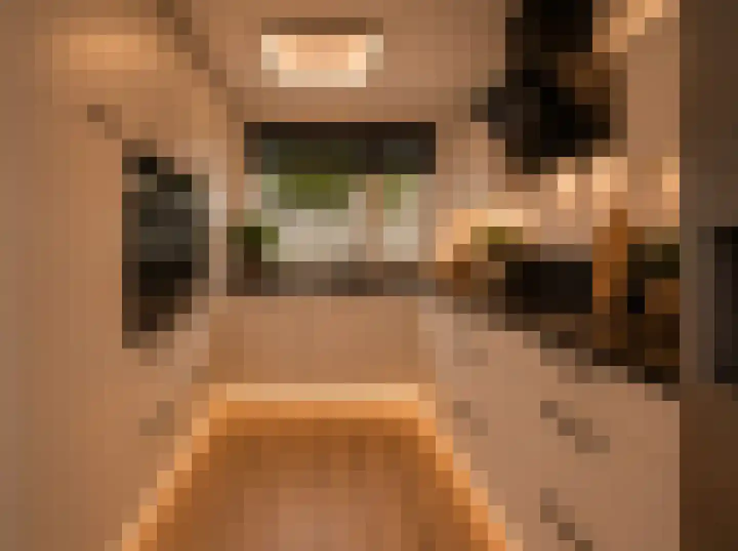Asterdkraag 88 Breda thumbnail 26