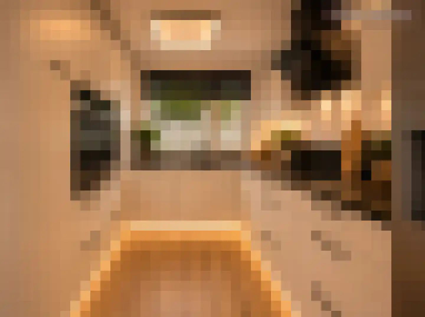 Asterdkraag 88 Breda thumbnail 27