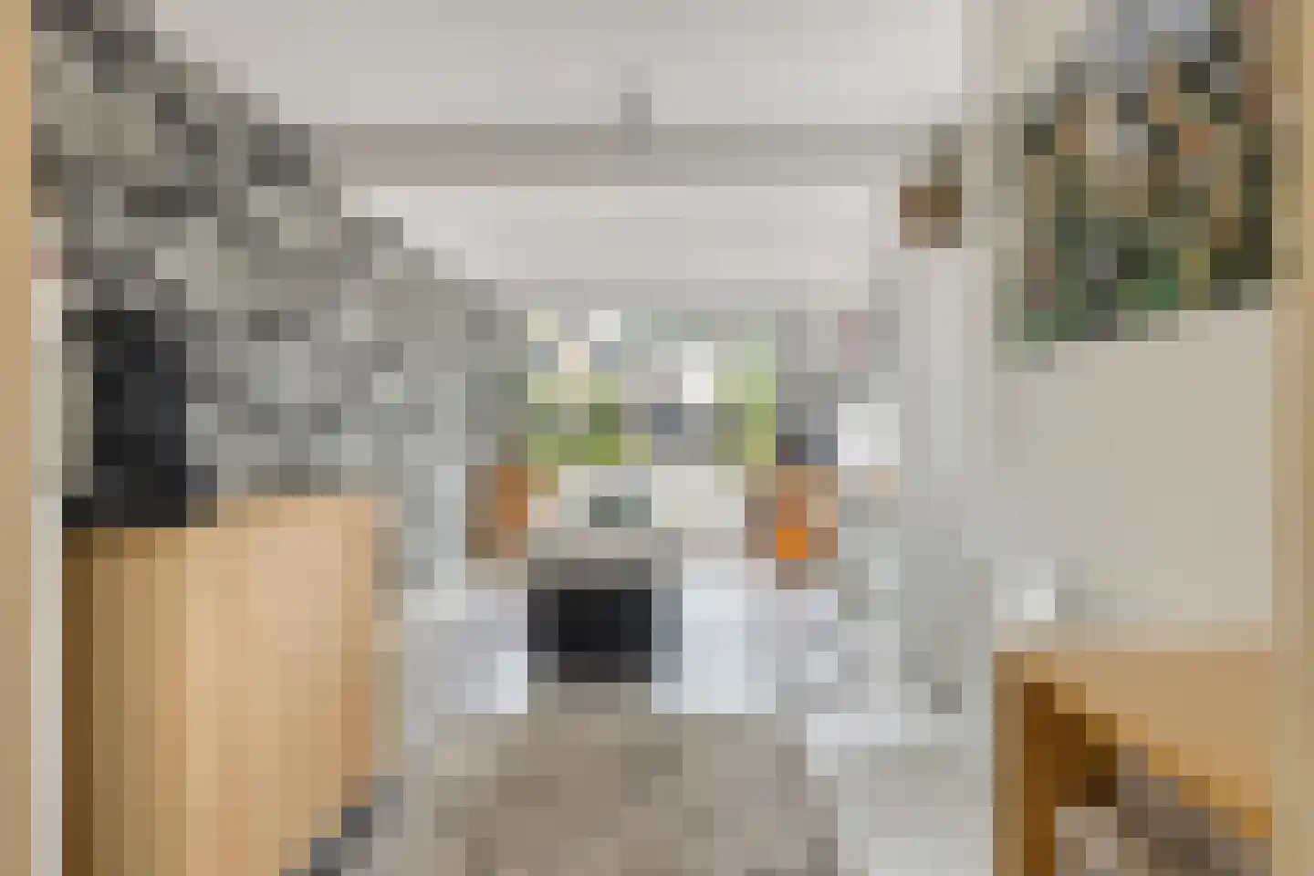 Asterdkraag 88 Breda thumbnail 30