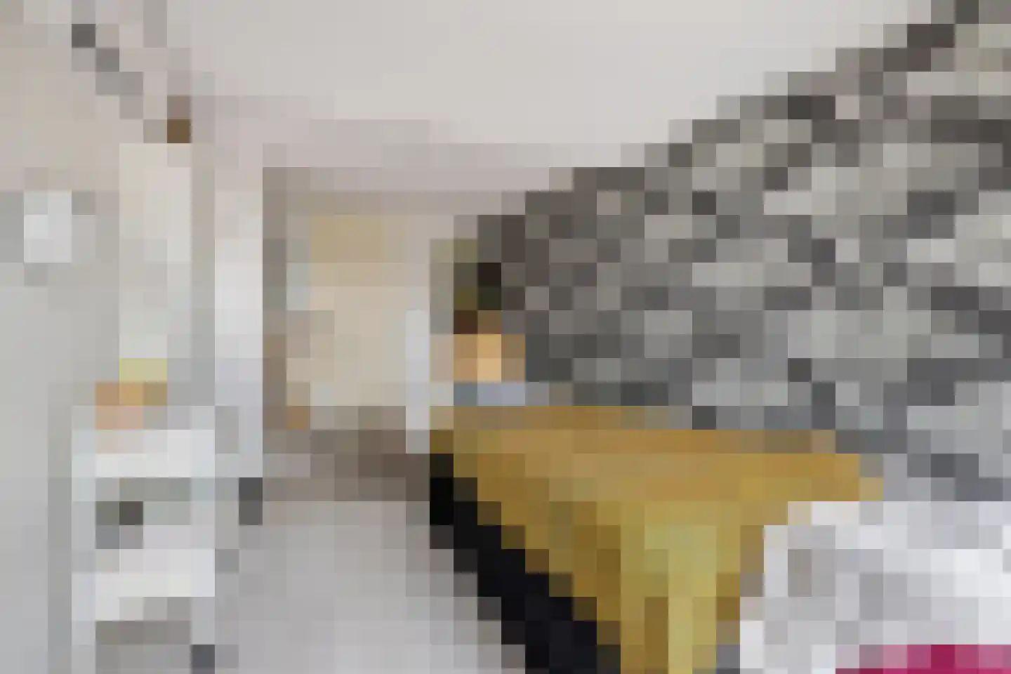 Asterdkraag 88 Breda thumbnail 31