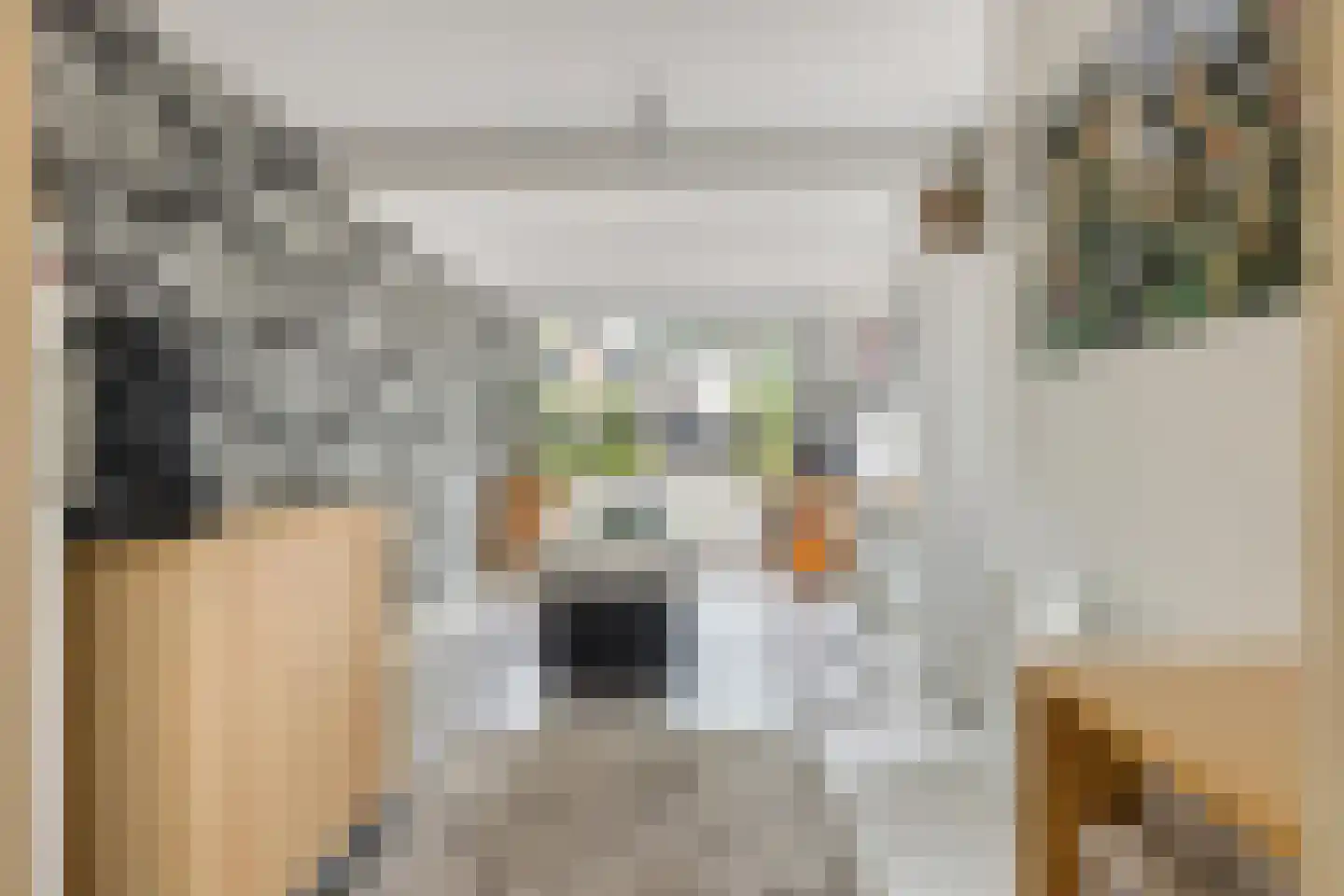 Asterdkraag 88 Breda thumbnail 31
