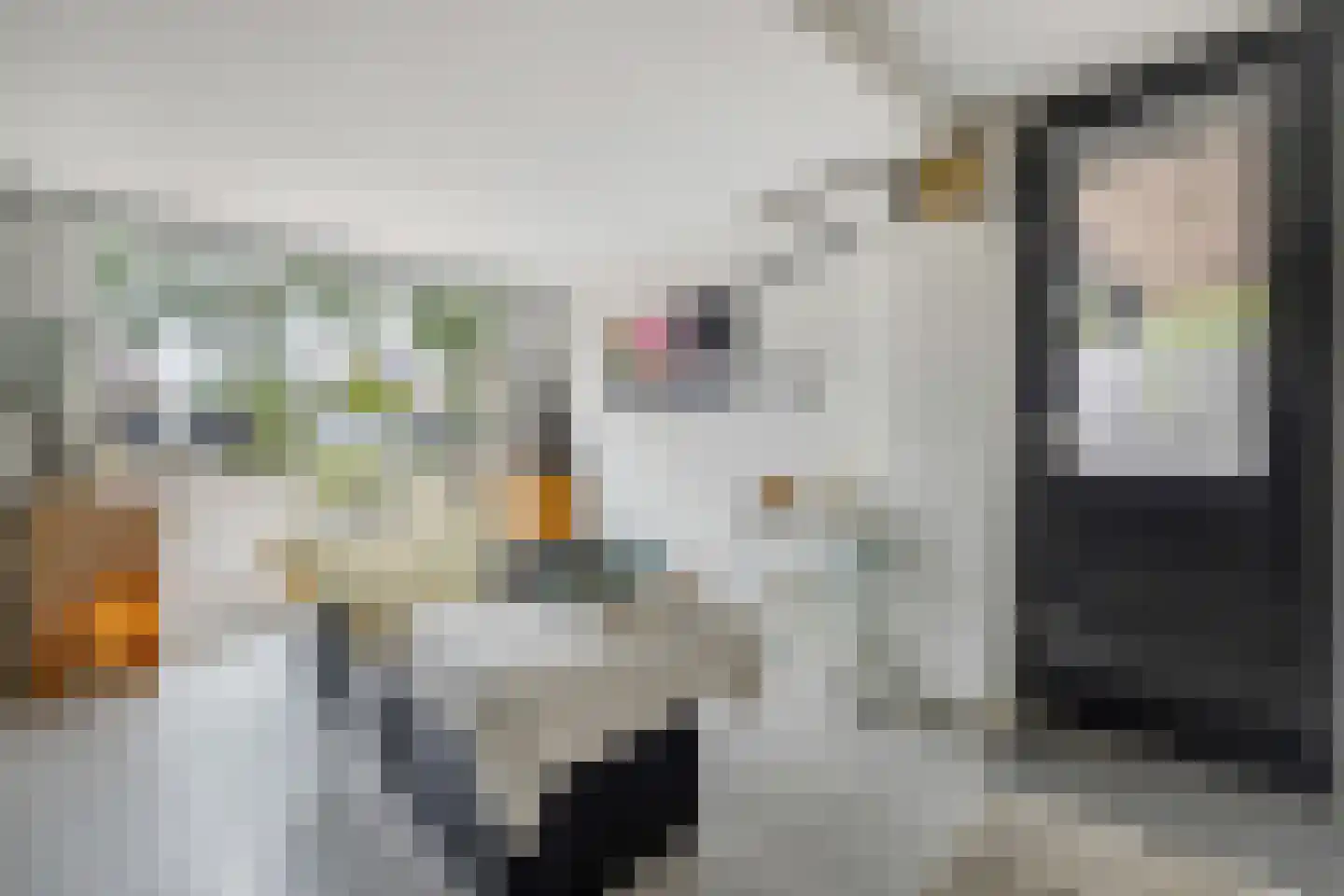 Asterdkraag 88 Breda thumbnail 32