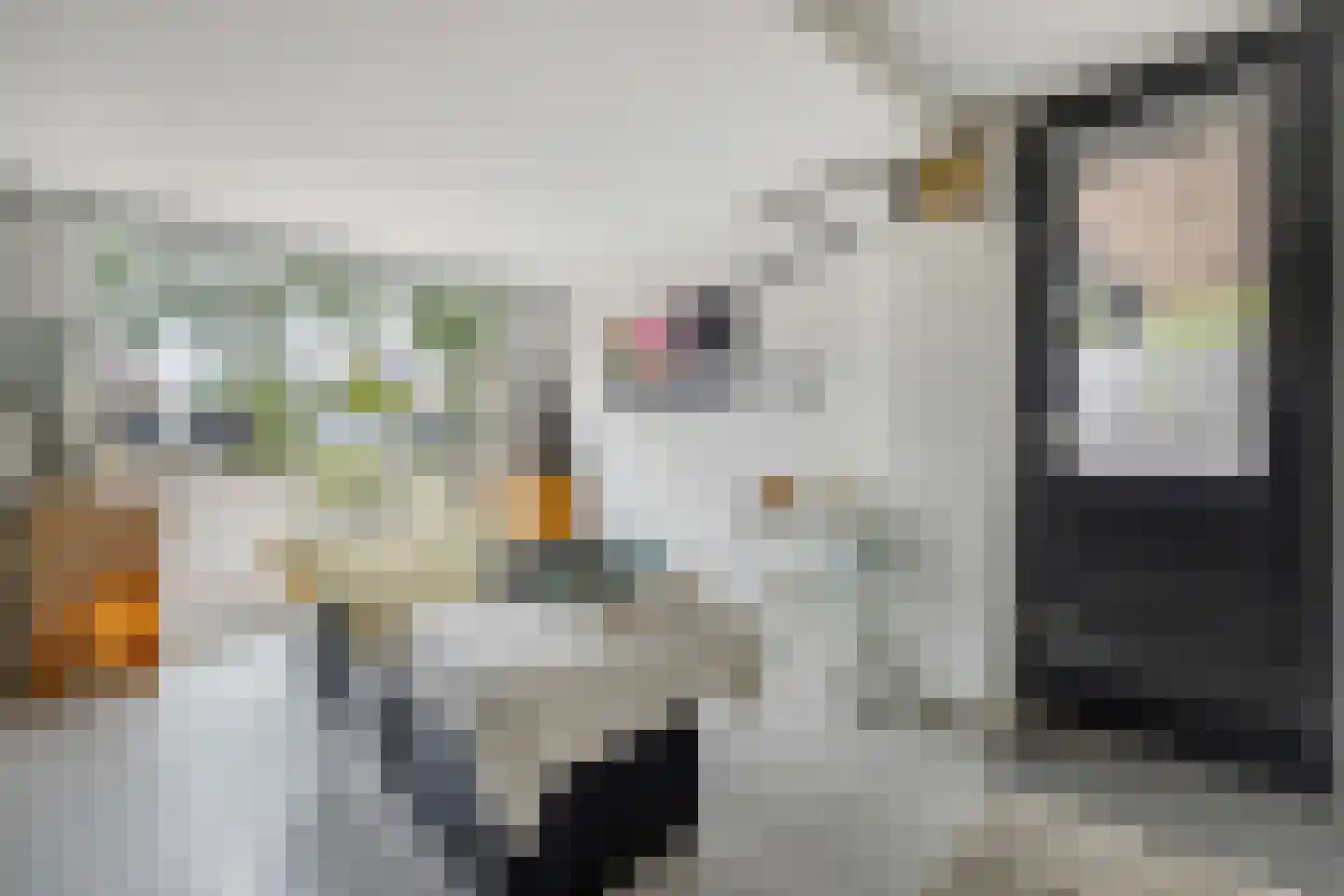 Asterdkraag 88 Breda thumbnail 33