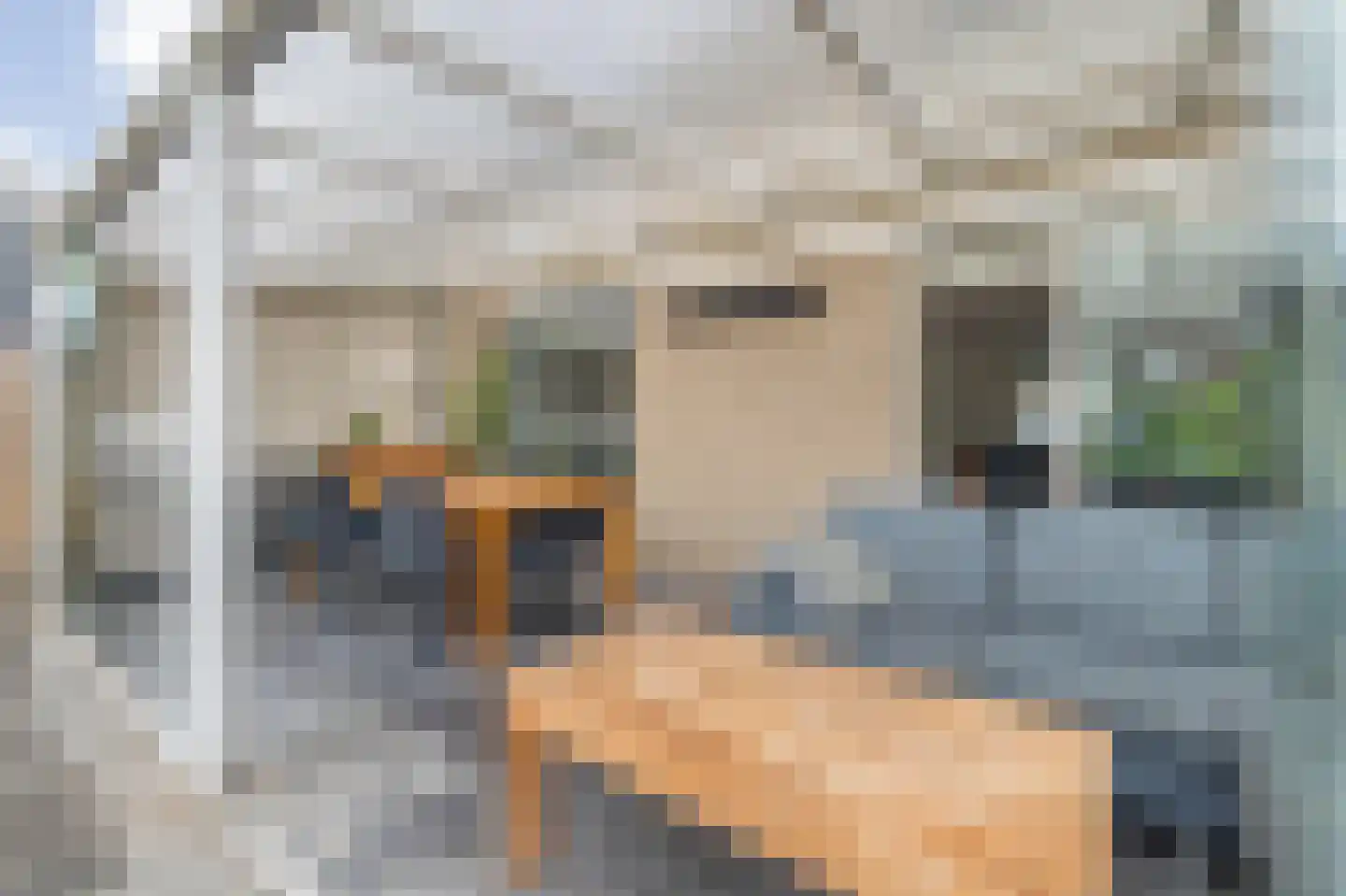 Asterdkraag 88 Breda thumbnail 54