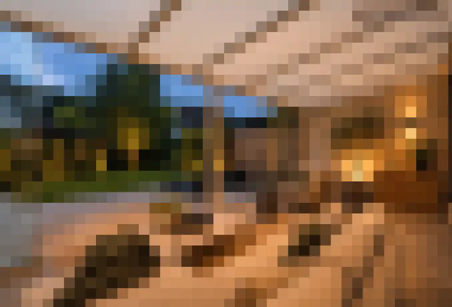 Asterdkraag 88 Breda thumbnail 57