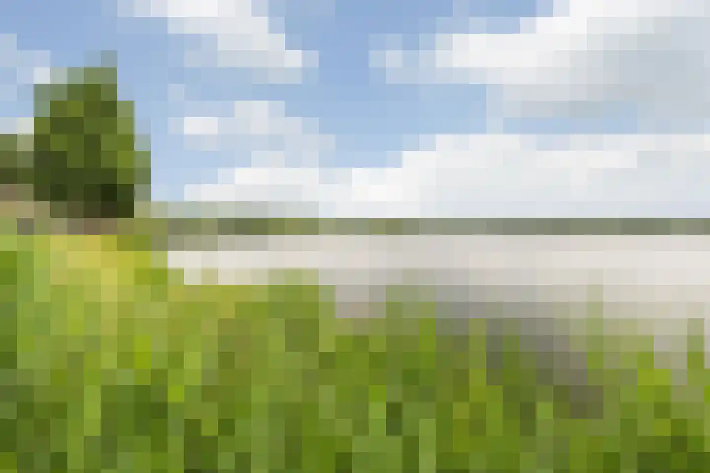 Asterdkraag 88 Breda thumbnail 66