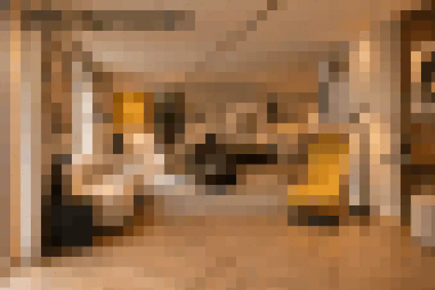 Asterdkraag 90 Breda thumbnail 13