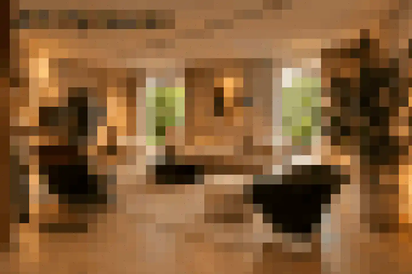Asterdkraag 90 Breda thumbnail 16
