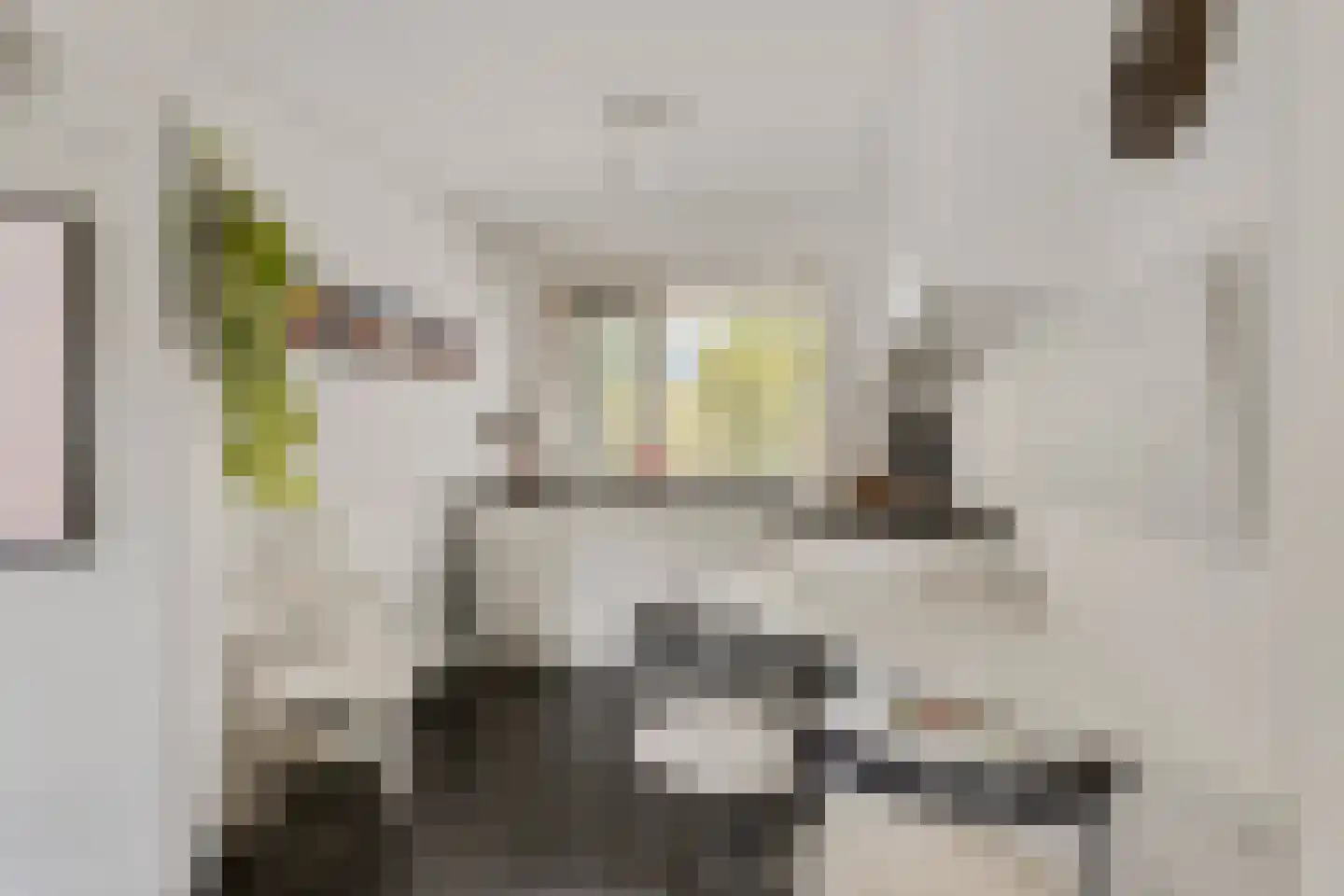 Asterdkraag 90 Breda thumbnail 17