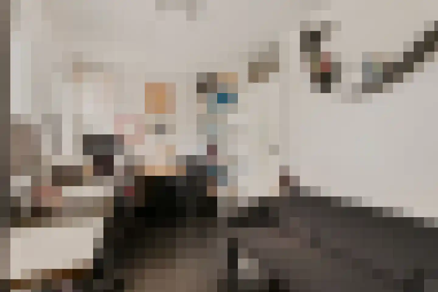 Asterdkraag 90 Breda thumbnail 20