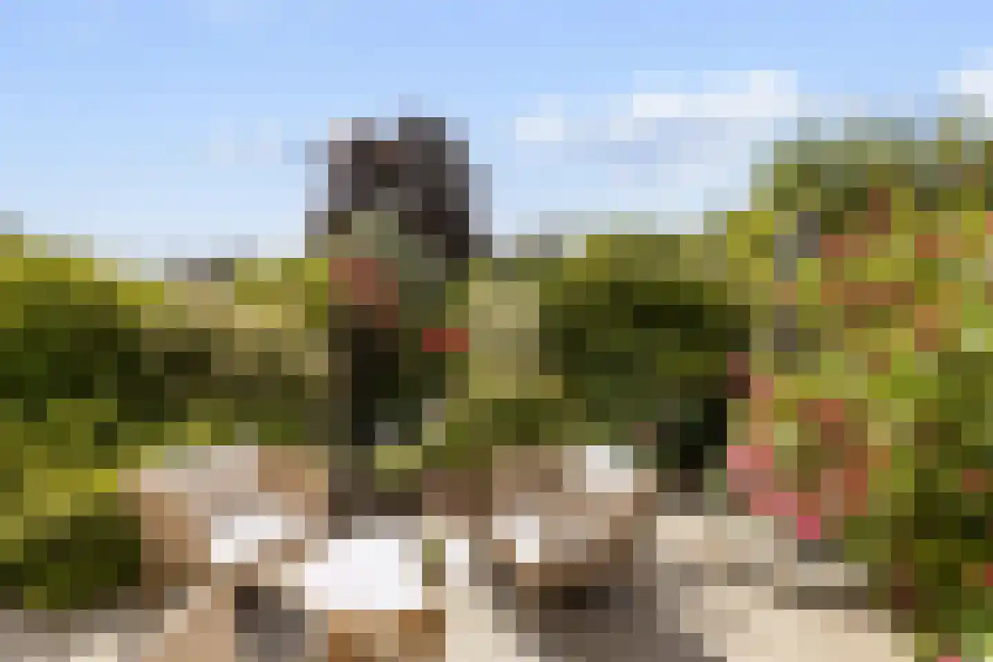 Asterdkraag 90 Breda thumbnail 31