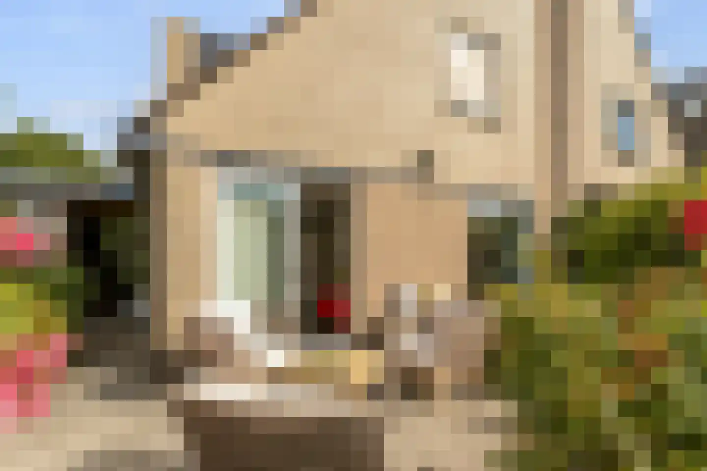 Asterdkraag 90 Breda thumbnail 34