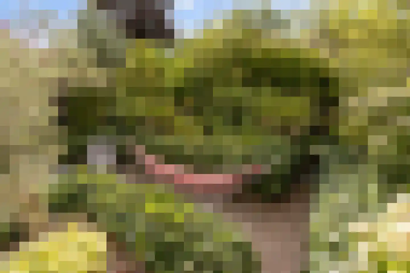 Asterdkraag 90 Breda thumbnail 35