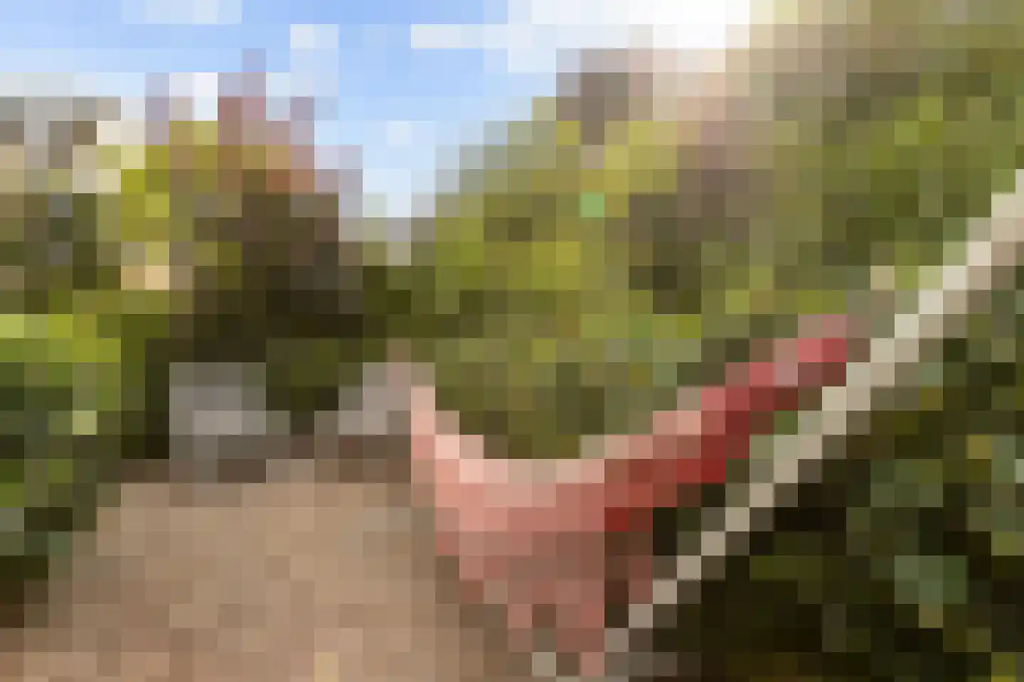 Asterdkraag 90 Breda thumbnail 37
