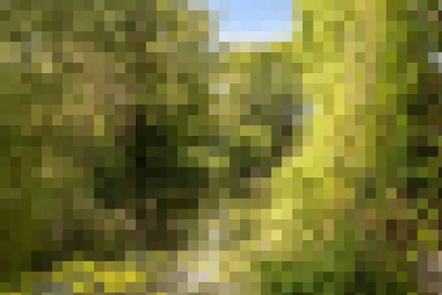 Asterdkraag 90 Breda thumbnail 38