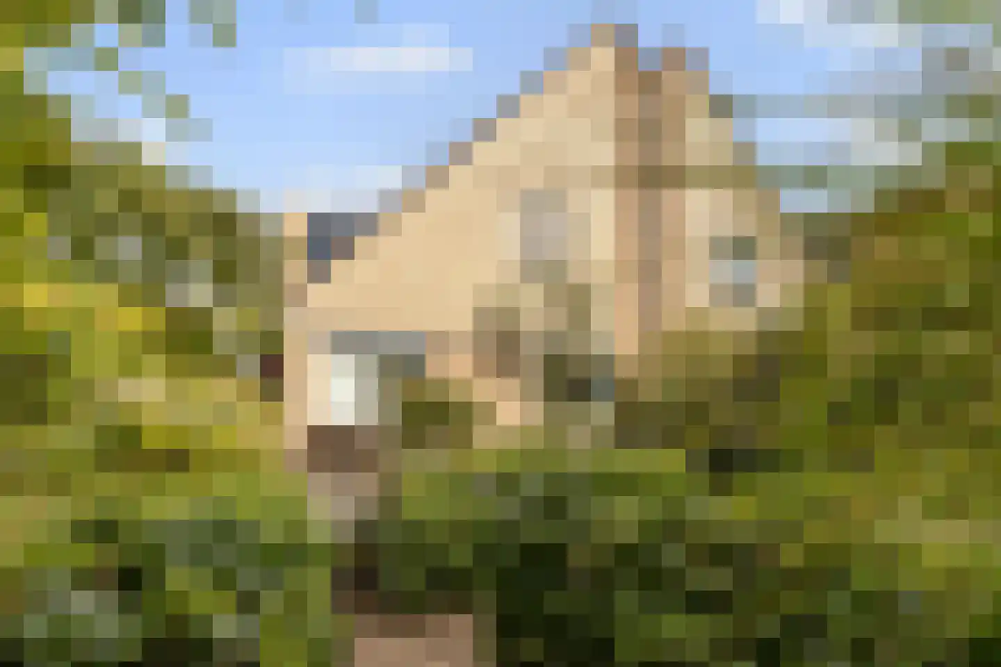 Asterdkraag 90 Breda thumbnail 39