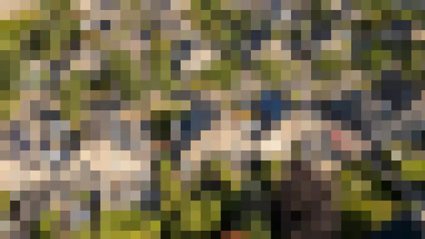 Asterdkraag 90 Breda thumbnail 43