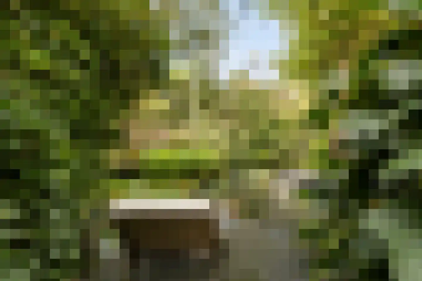 Asterdkraag 90 Breda thumbnail 5