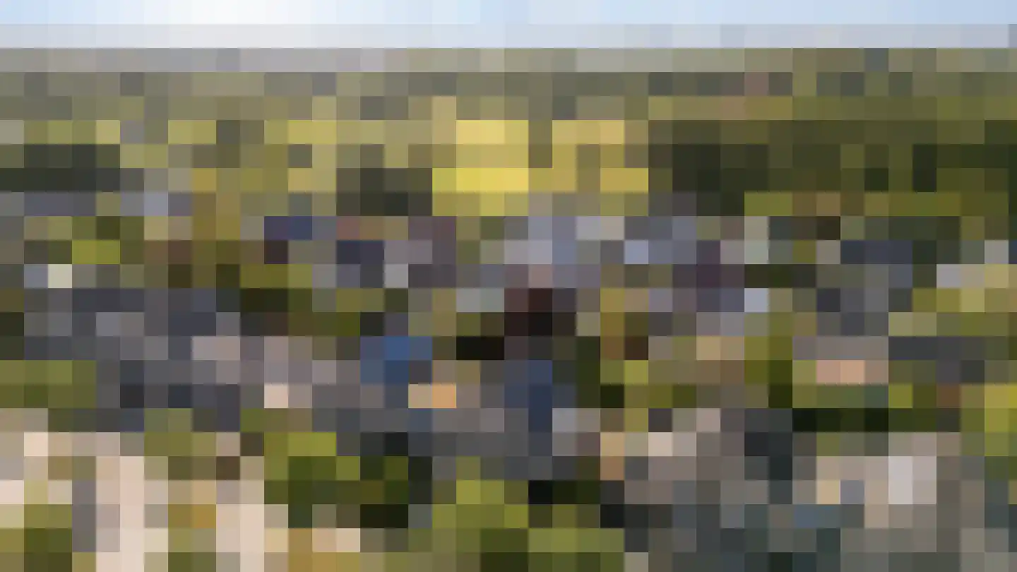 Asterdkraag 90 Breda thumbnail 52