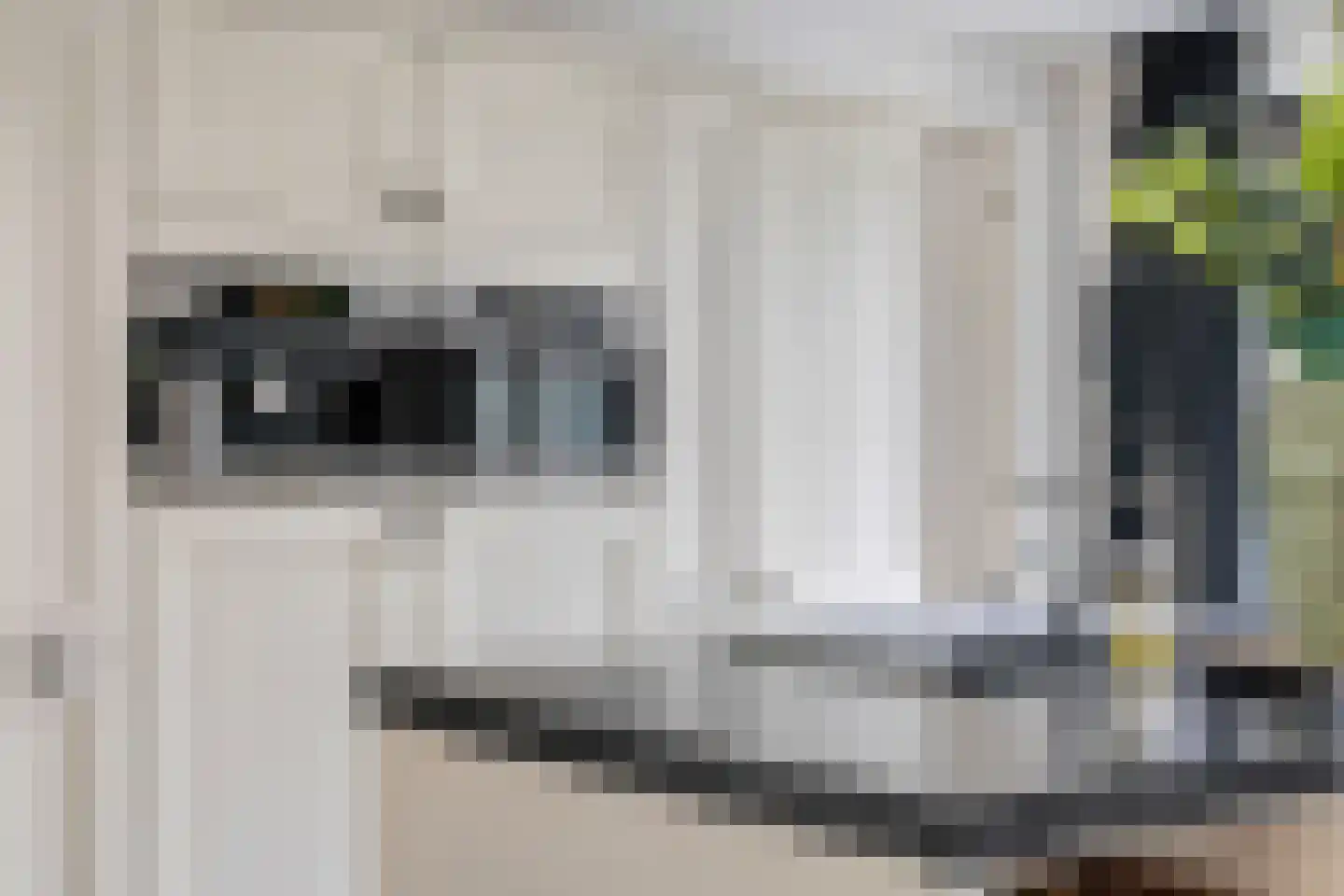 Asterdse Sluis 39 Breda thumbnail 12
