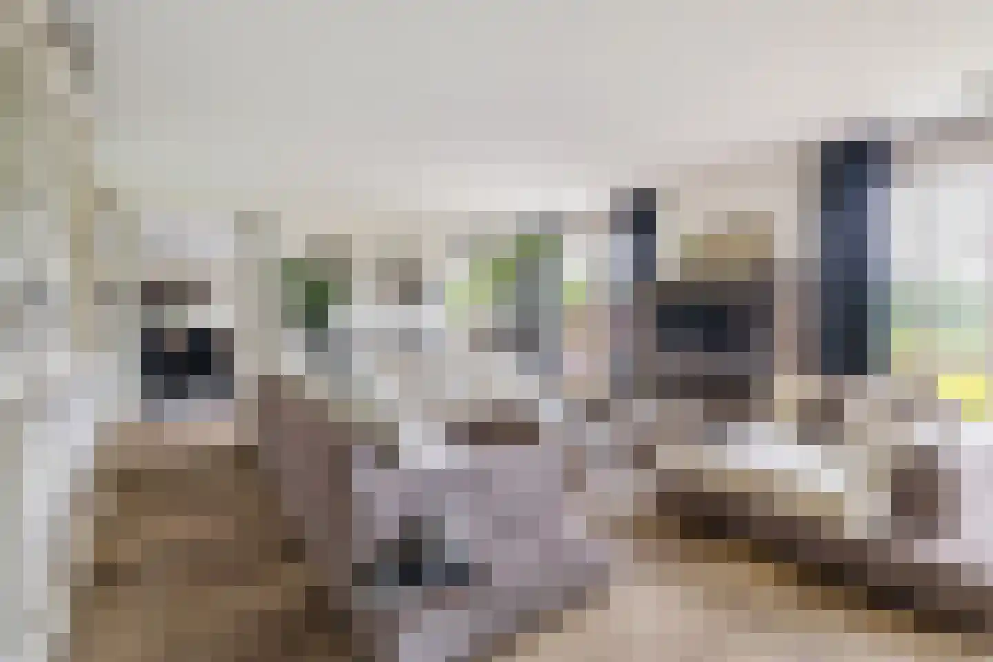Asterdse Sluis 39 Breda thumbnail 17