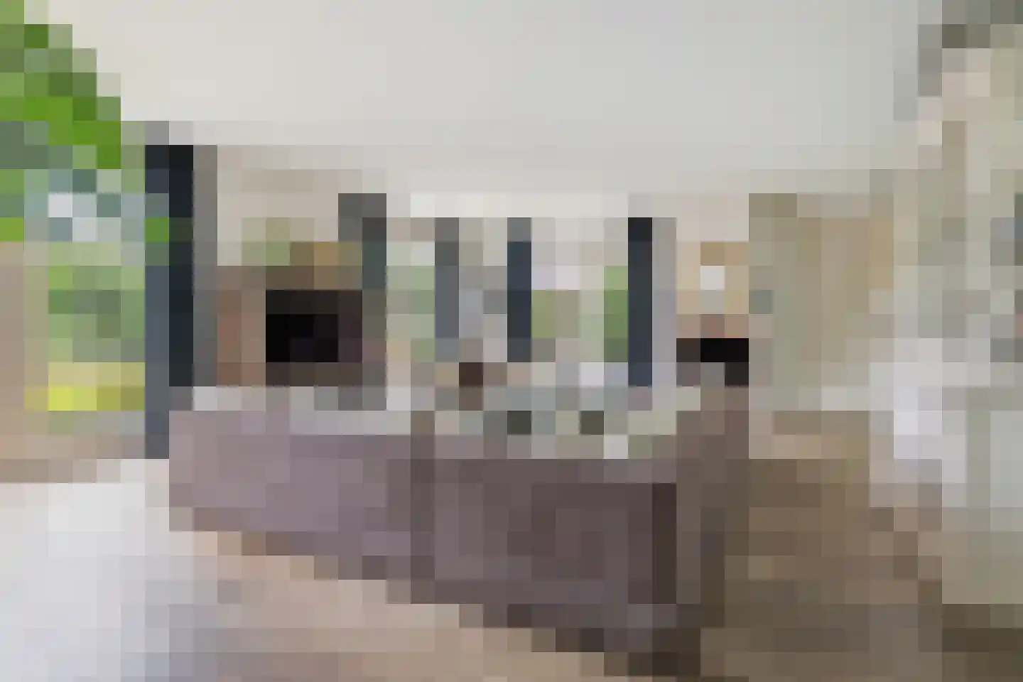 Asterdse Sluis 39 Breda thumbnail 18