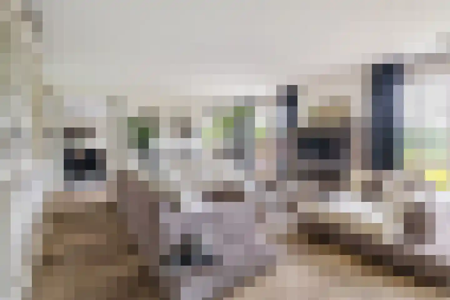 Asterdse Sluis 39 Breda thumbnail 4