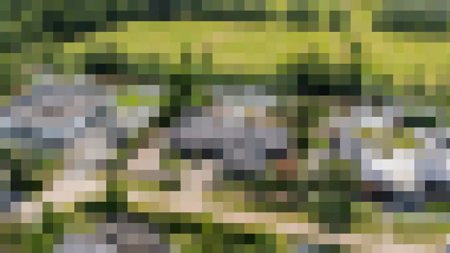 Asterdse Sluis 39 Breda thumbnail 57