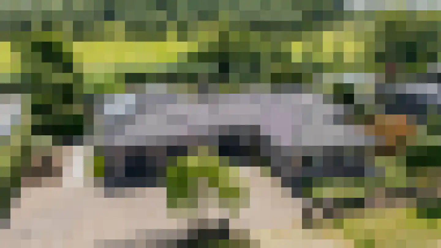 Asterdse Sluis 39 Breda thumbnail 58
