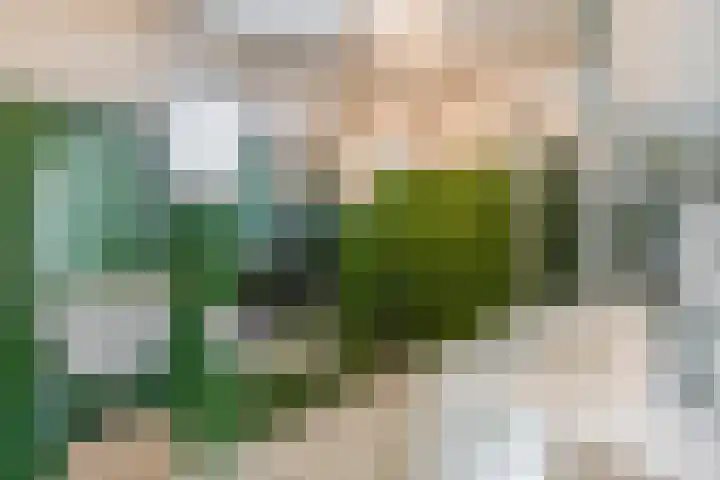 Asterhof 2 Schijndel thumbnail 13