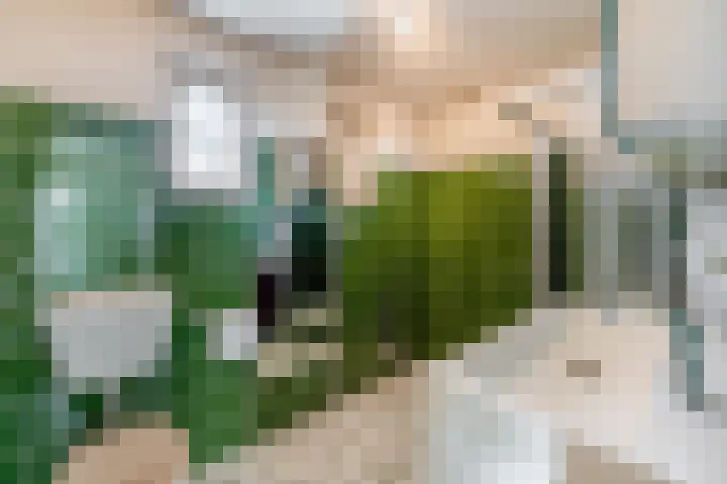 Asterhof 2 Schijndel thumbnail 13