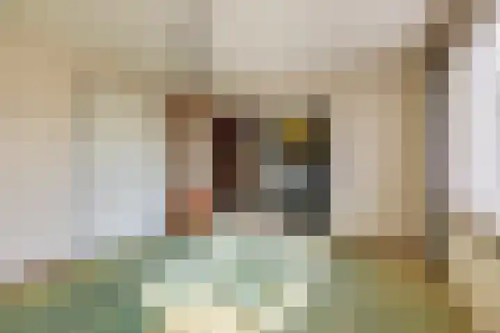 Asterhof 2 Schijndel thumbnail 16