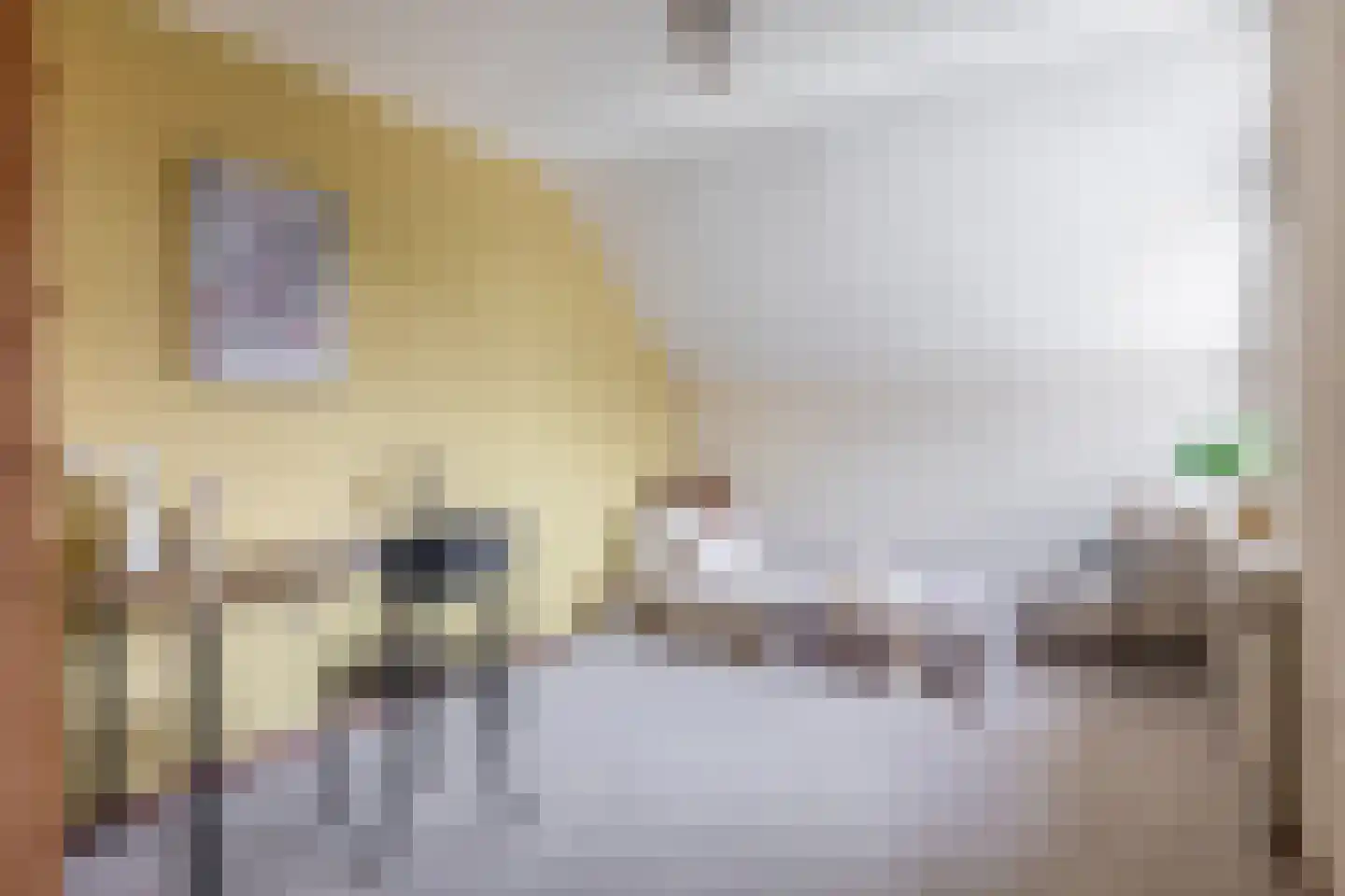 Asterhof 2 Schijndel thumbnail 17