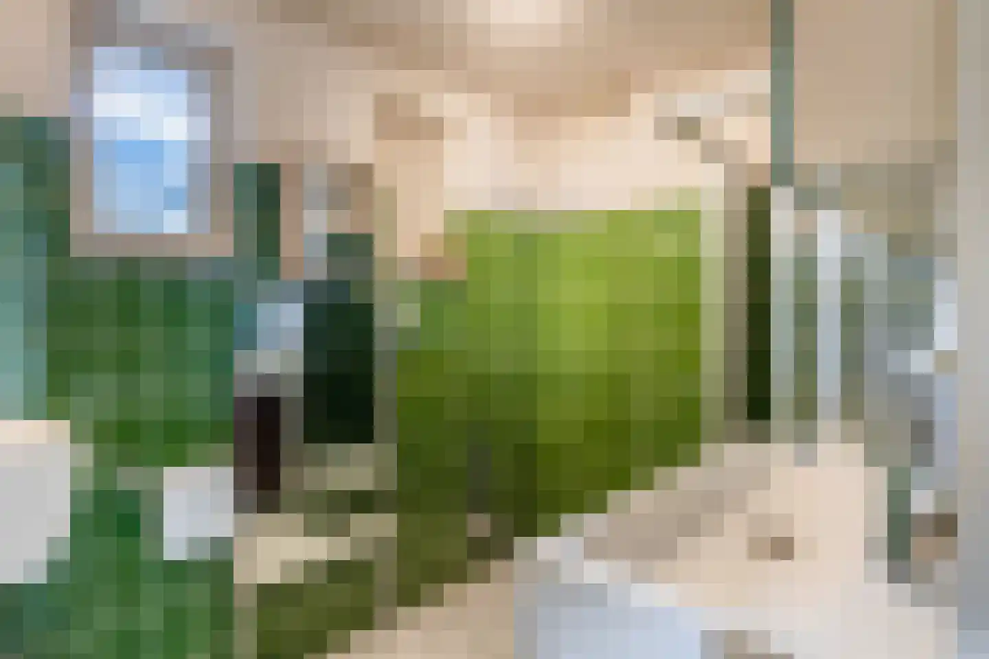 Asterhof 2 Schijndel thumbnail 19