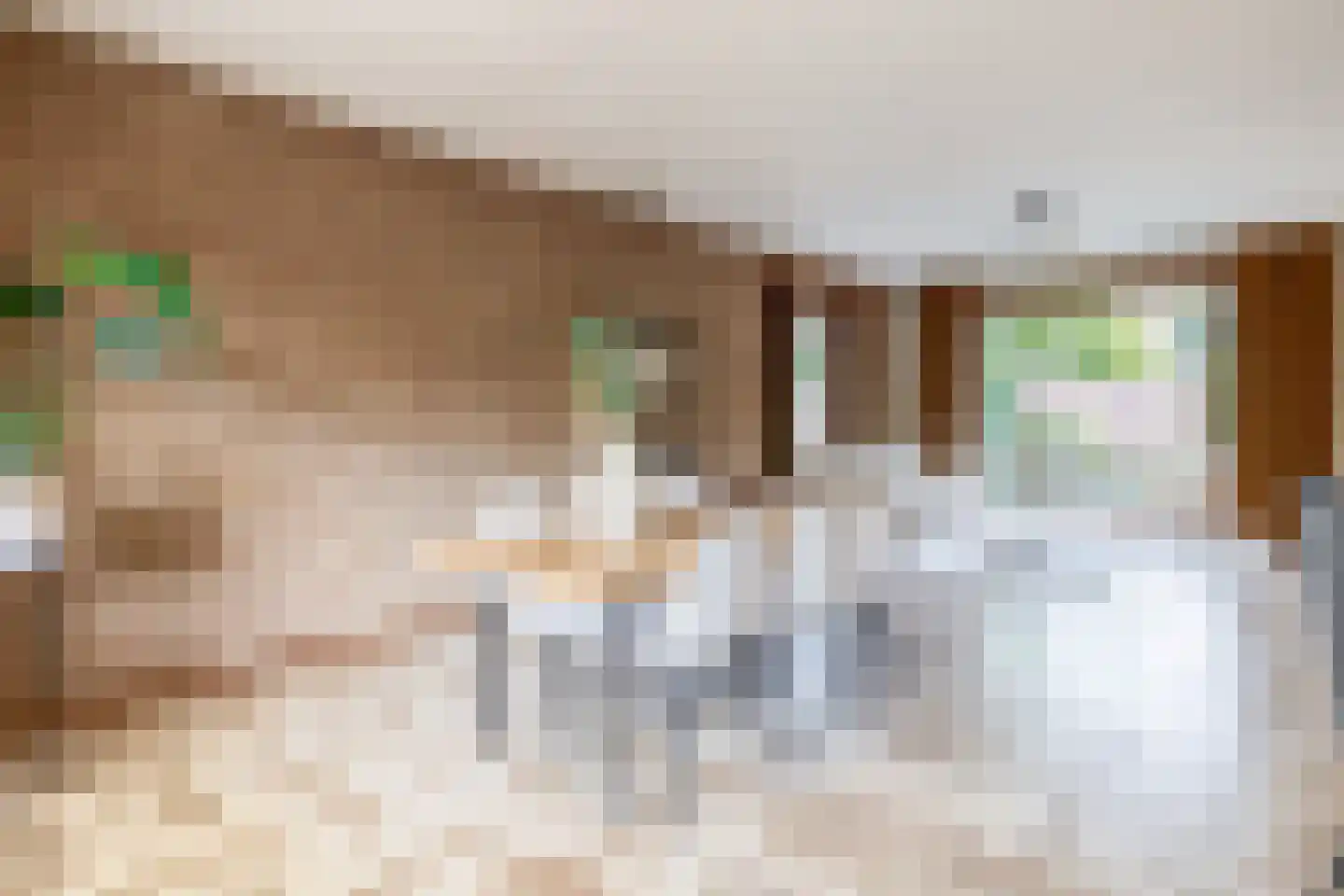 Asterhof 2 Schijndel thumbnail 7