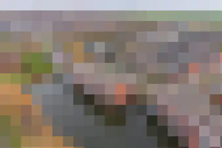 Asterixstraat 81 Almere thumbnail 32