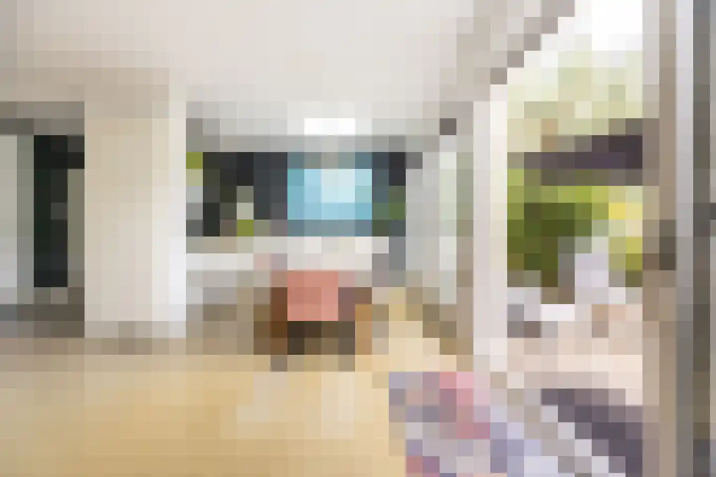 Asterkade 32 Heemstede thumbnail 20