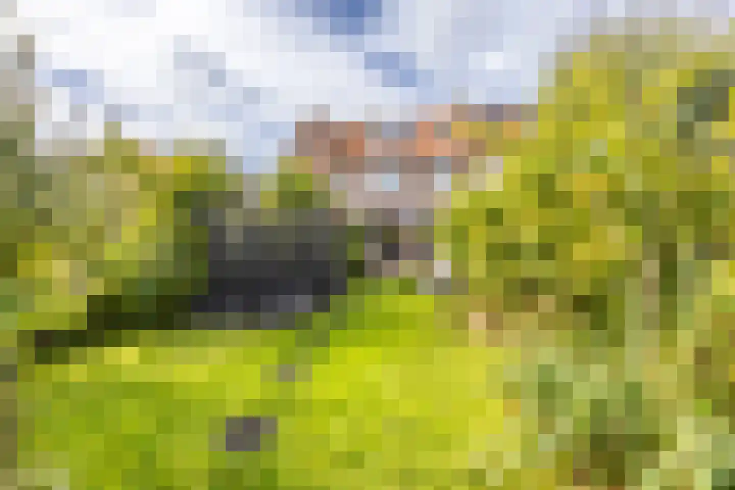 Asterkade 32 Heemstede thumbnail 40