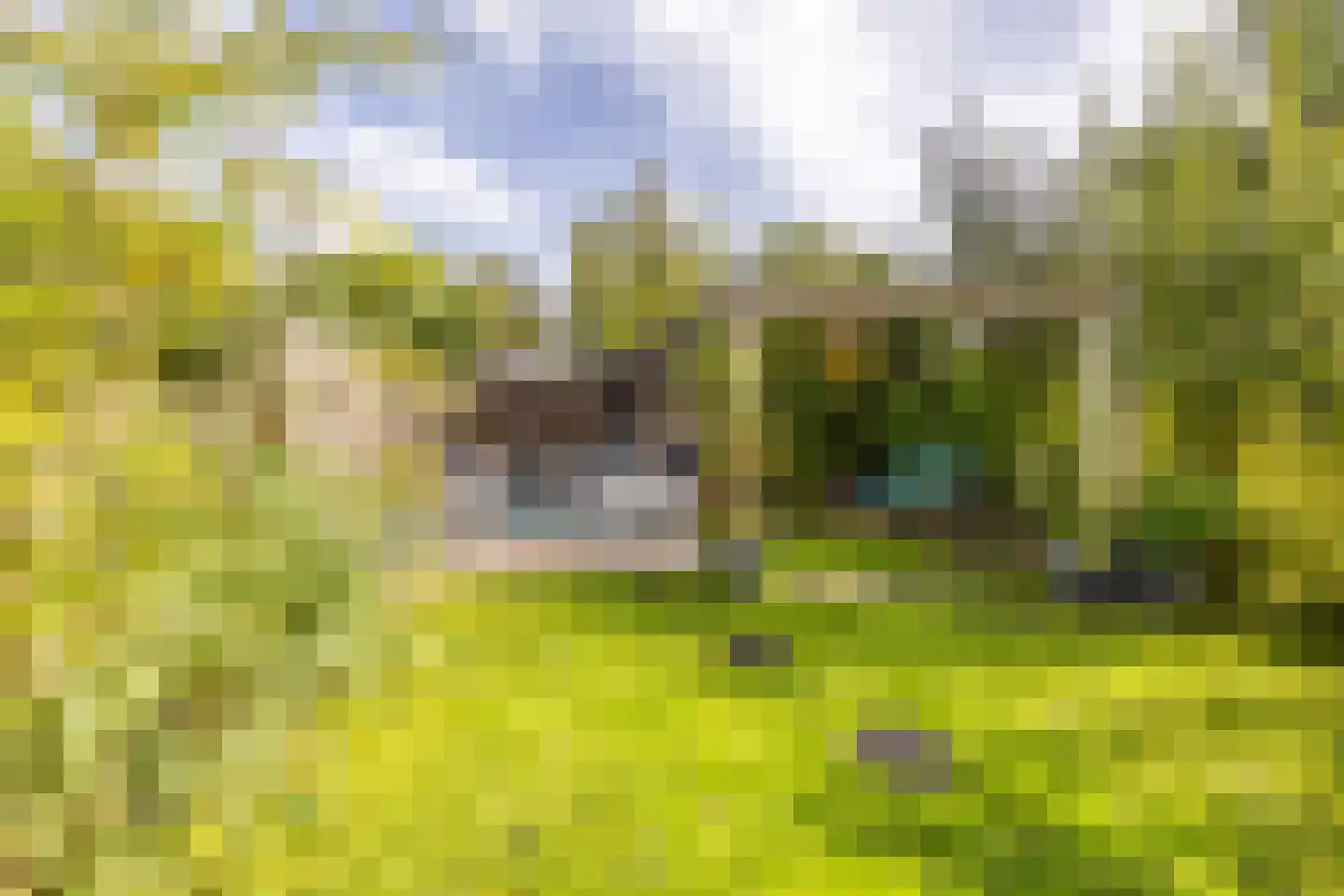 Asterkade 32 Heemstede thumbnail 42