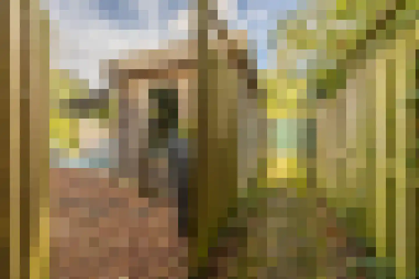 Asterkade 32 Heemstede thumbnail 45