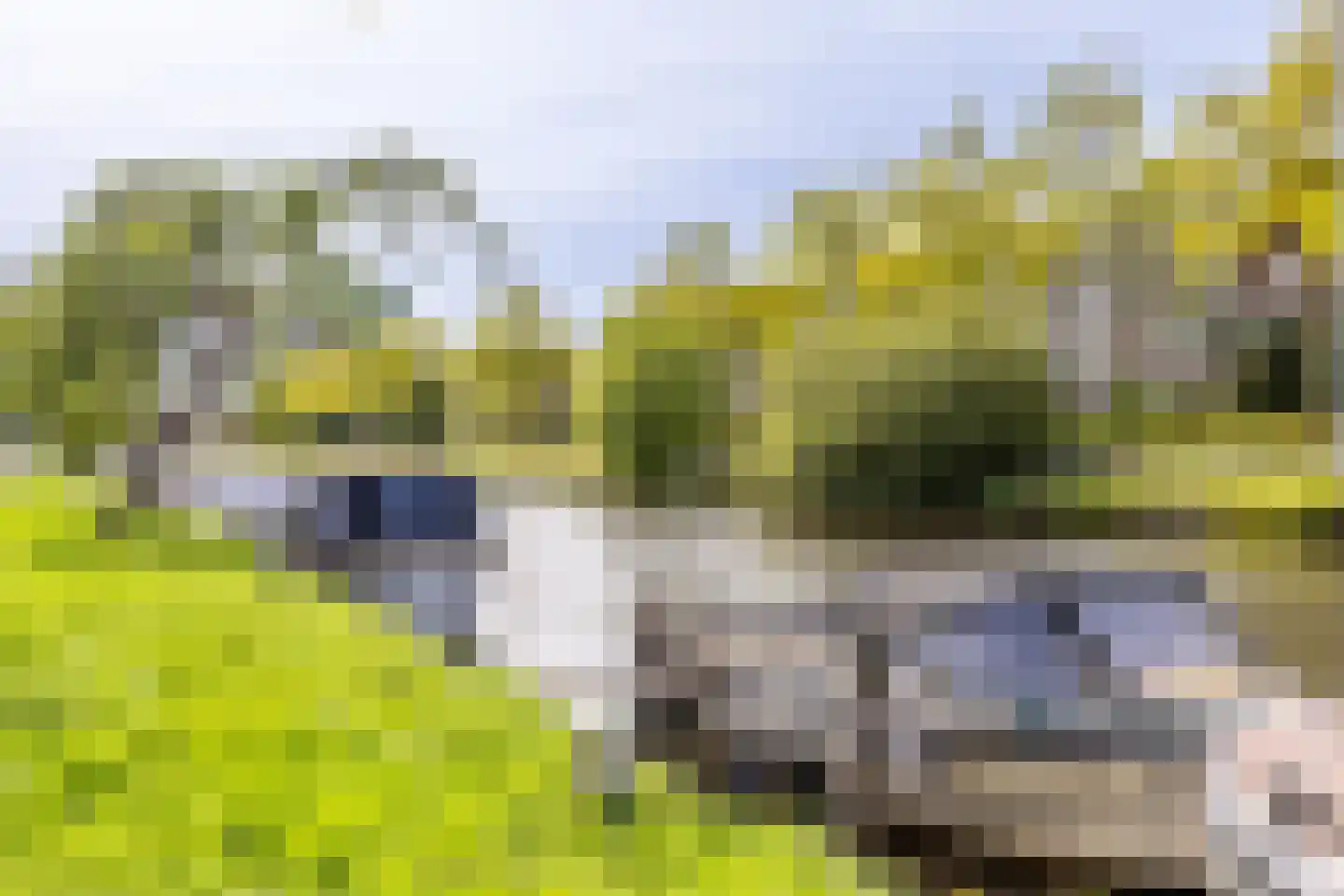 Asterkade 32 Heemstede thumbnail 5