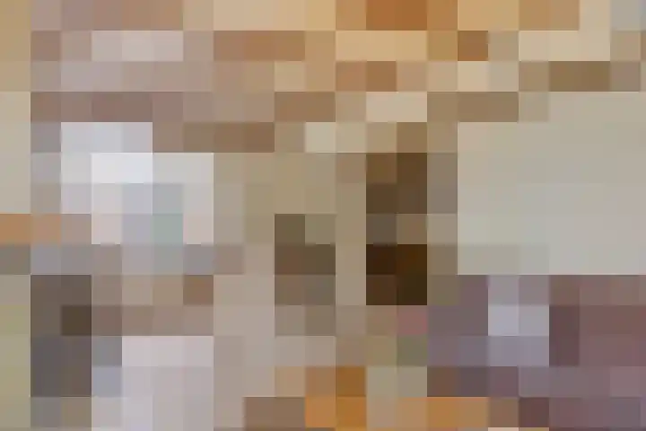 Asterlaan 1 Lutjebroek thumbnail 12