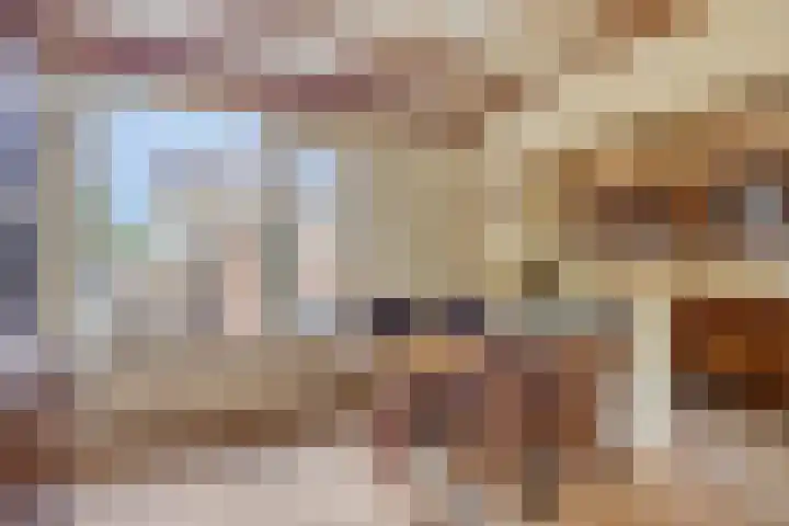 Asterlaan 1 Lutjebroek thumbnail 13