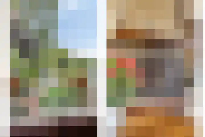 Asterlaan 1 Lutjebroek thumbnail 16