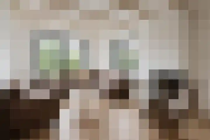 Asterlaan 1 Lutjebroek thumbnail 20