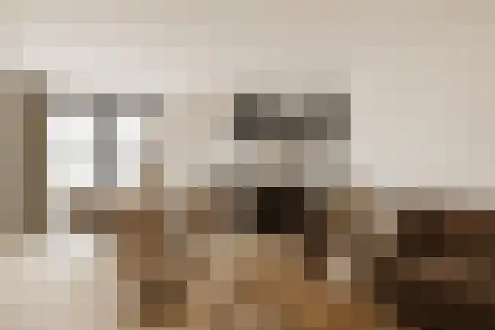 Asterlaan 1 Lutjebroek thumbnail 21