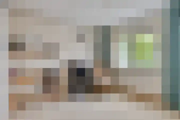 Asterlaan 1 Lutjebroek thumbnail 26