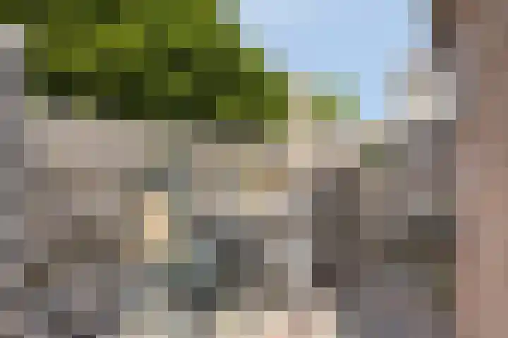 Asterlaan 1 Lutjebroek thumbnail 38